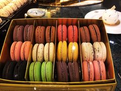 -TWG Tea(台北101购物中心沙龙及精品门市)