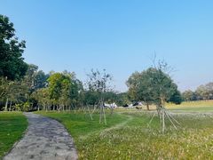 -福建鲤鱼洲酒店