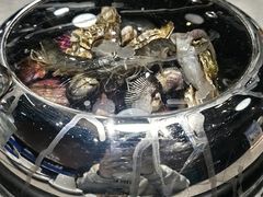 -大锅强·蒸海鲜青岛菜(吾悦广场店)