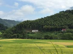-水墨汀溪风景区