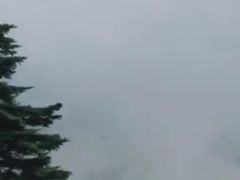 -秦岭风景区