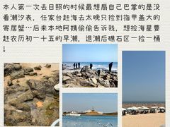 -日照海滨国家森林公园