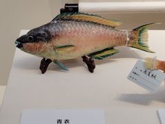 -诸暨博物馆