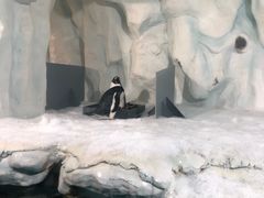 -南昌海洋公园