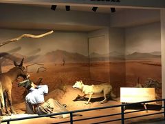 -陕西自然博物馆