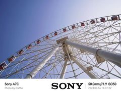 -顾村公园