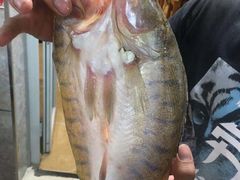 -新疆风味冷水鱼庄(友谊峰路店)