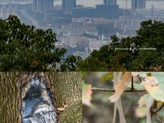 -惠山国家森林公园