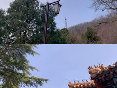 -八大处公园
