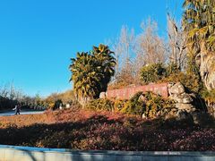 -洱海月湿地公园