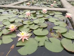 -华南国家植物园-售票处
