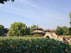 -莲池书院博物馆