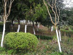 -金海湾滨江公园