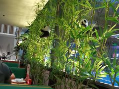 -蓉城小馆(科兴店)