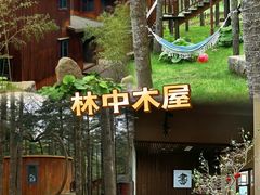 -洛阳白云山景区