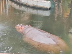 -福州动物园