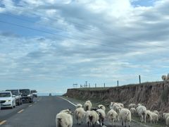 -青海湖国家重点风景名胜区
