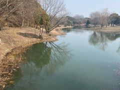 -梁鸿国家湿地公园