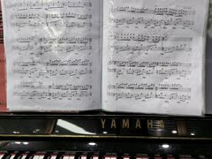 -圣典成人钢琴俱乐部(国贸旗舰校区)