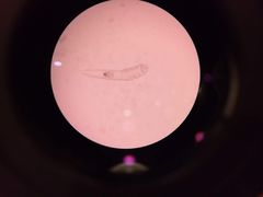 -艾贝尔宠物医院·24H转诊中心·肿瘤猫专科(江宁双龙店)