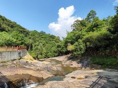 -广州白江湖森林公园