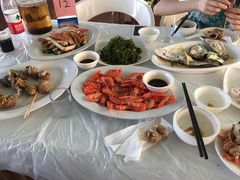 -大湾区中央湿地公园-十九涌