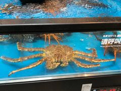 帝王蟹-盒马鲜生(宝地店)