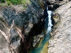 -广州白江湖森林公园