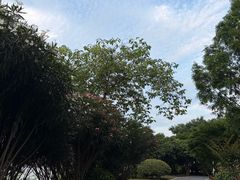 -金银湖国家城市湿地公园