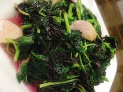 蒜泥苋菜-协和菜馆(凤凰街店)