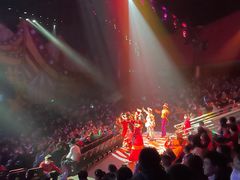 -珠海横琴长隆《卡卡虎奇遇记》