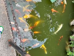 -檀园