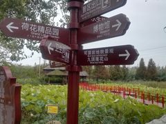 -微山湖红荷湿地景区