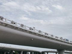 -演武大桥观景平台