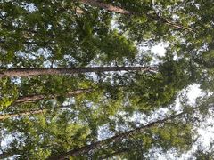 -南京金牛湖风景区