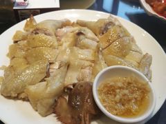 -金龙寨(龙城路店)