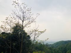 -火炉山森林公园