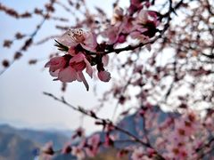 -龙泉峪长城