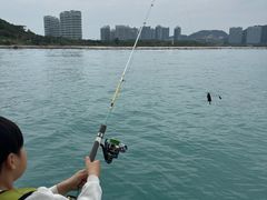 -小猫钓鱼海钓俱乐部(椰梦长廊店)