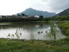 -后柳水乡