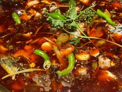 -小饕荟雅安贡椒鱼鲜馆(广福桥店)