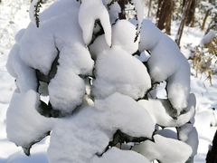 -WeLope紫金山探险公园