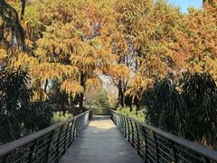 -尚贤河湿地