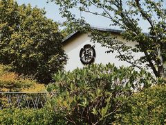-极料理(普罗理想国店)