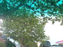 -雅逸居海鲜小厨