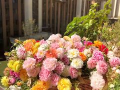 -喜茶(东莞汇一城店)