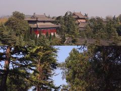 -洛阳白马寺