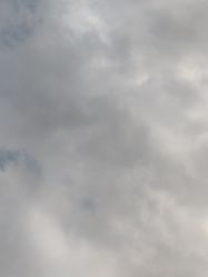 -太湖雪蚕桑文化园