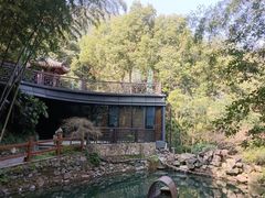 -十八棵（老龙井）御茶园(老龙井店)