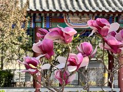 -丰台花园